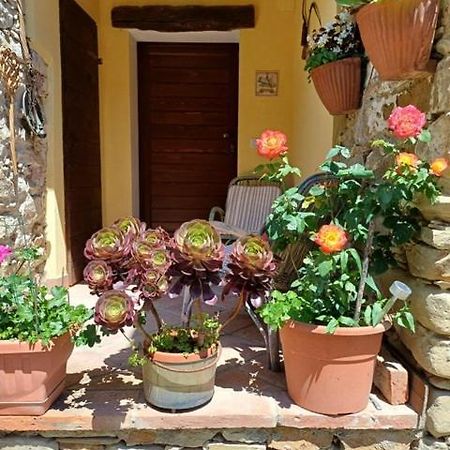 Casa Galla Ovada Exterior photo